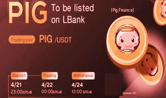 pig币和pig币有什么关系 pig币交易平台2022下载-第1张图片-binance下载