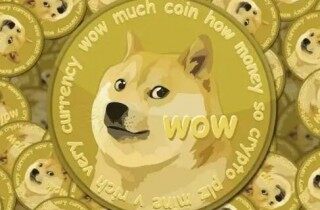 狗币 狗币官方网站app下载