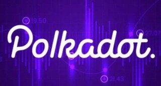 dot币交易所下载地址 dot币交易所官网下载