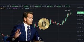 shib币实时行情分析！Shib币实时价格分享！