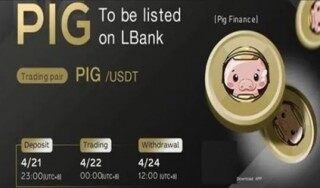 pig币交易所安卓下载入口 pig币手机app官方版下载