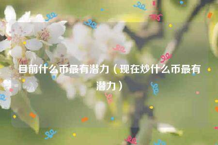目前什么币最有潜力（现在炒什么币最有潜力）-第1张图片-binance下载