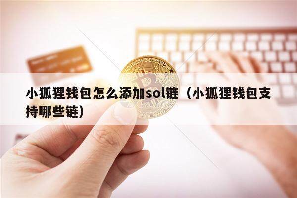 小狐狸钱包怎么添加sol链（小狐狸钱包支持哪些链）-第1张图片-binance下载