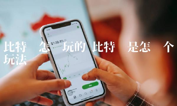比特币是怎么个玩法-第1张图片-binance下载