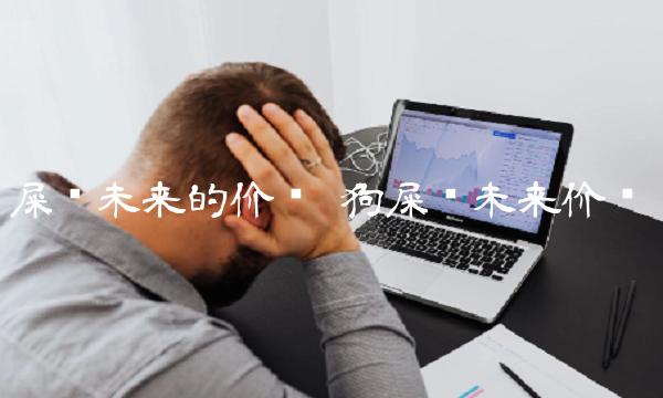 屎币未来的价值-第1张图片-binance下载