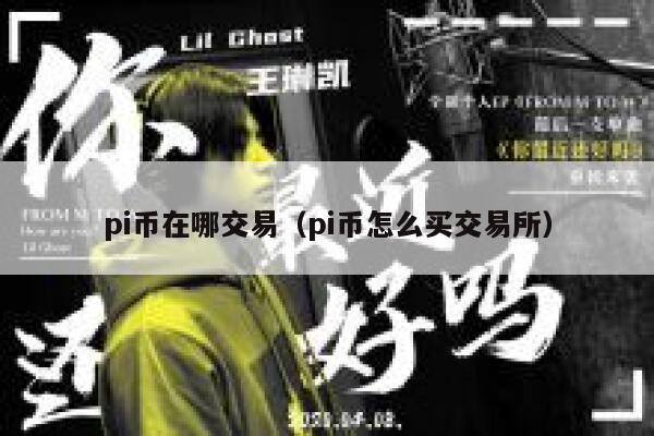 pi币在哪交易（pi币怎么买交易所）-第1张图片-binance下载