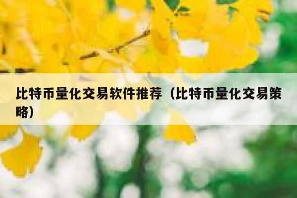 比特币量化交易软件推荐（比特币量化交易策略）-第1张图片-binance下载