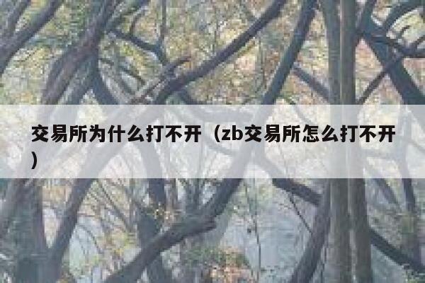 交易所为什么打不开（zb交易所怎么打不开）-第1张图片-binance下载