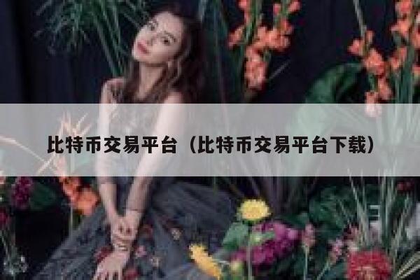 比特币交易平台（比特币交易平台下载）-第1张图片-binance下载