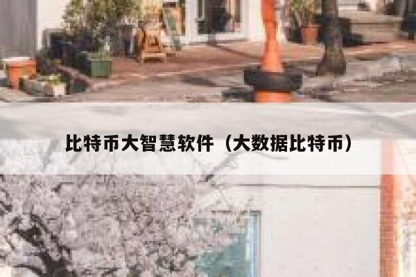 比特币大智慧软件（大数据比特币）-第1张图片-binance下载