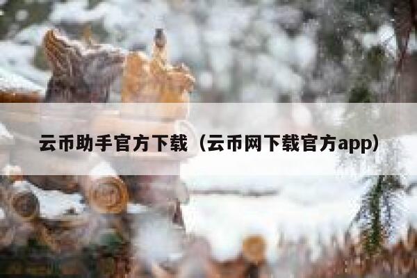 云币助手官方下载（云币网下载官方app）-第1张图片-binance下载