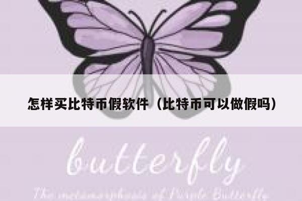 怎样买比特币假软件（比特币可以做假吗）-第1张图片-binance下载