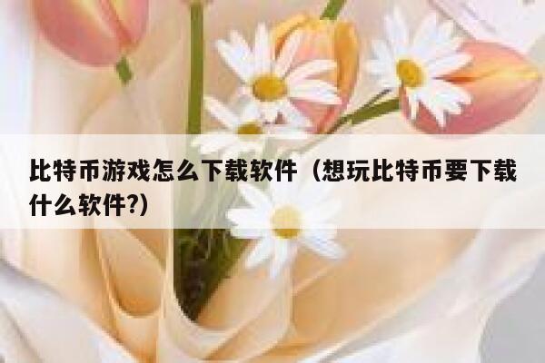 比特币游戏怎么下载软件（想玩比特币要下载什么软件？）-第1张图片-binance下载