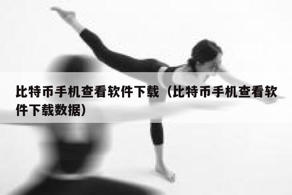 比特币手机查看软件下载（比特币手机查看软件下载数据）-第1张图片-binance下载