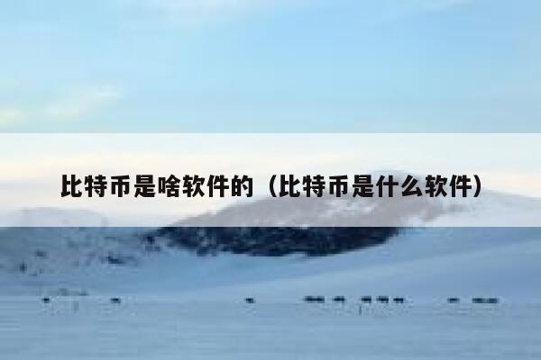 比特币是啥软件的（比特币是什么软件）-第1张图片-binance下载