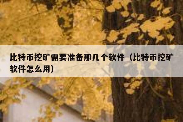 比特币挖矿需要准备那几个软件（比特币挖矿软件怎么用）-第1张图片-binance下载