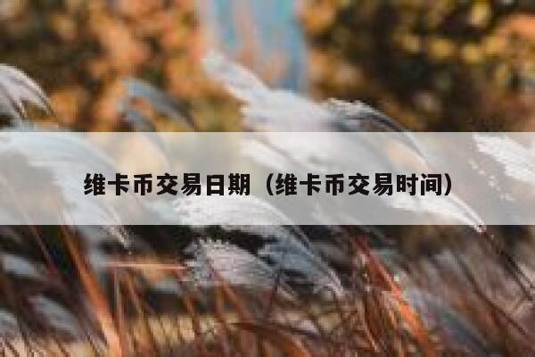 维卡币交易日期（维卡币交易时间）-第1张图片-binance下载