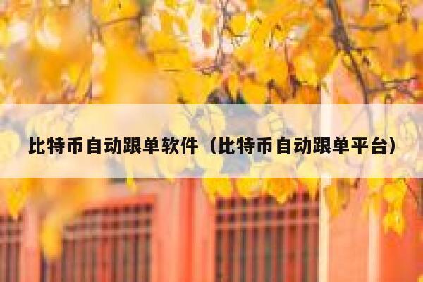 比特币自动跟单软件（比特币自动跟单平台）-第1张图片-binance下载