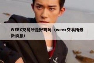 WEEX交易所是野鸡吗（weex交易所最新消息）
