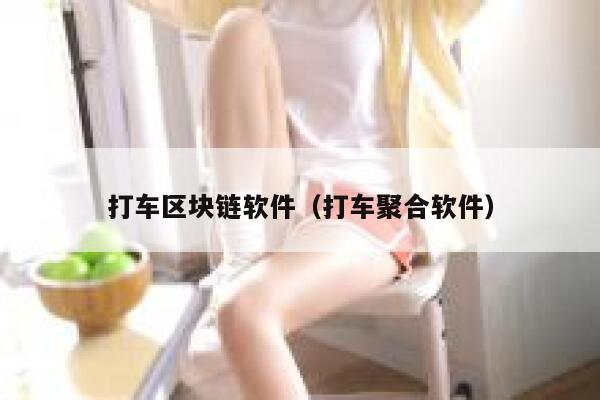 打车区块链软件（打车聚合软件）-第1张图片-binance下载