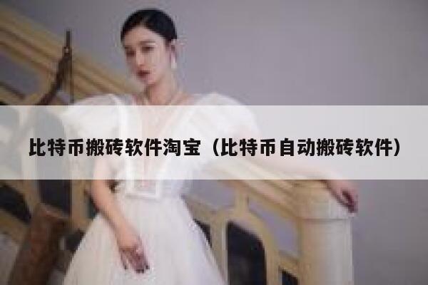 比特币搬砖软件淘宝（比特币自动搬砖软件）-第1张图片-binance下载