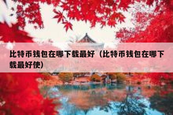 比特币钱包在哪下载最好（比特币钱包在哪下载最好使）-第1张图片-binance下载