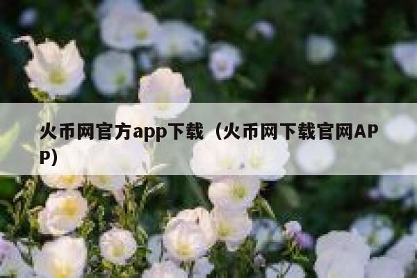火币网官方app下载（火币网下载官网APP）-第1张图片-binance下载