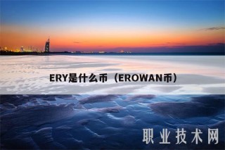 RY是什么币（ROWAN币）