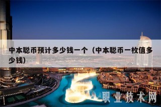中本聪币预计多少钱一个（中本聪币一枚值多少钱）