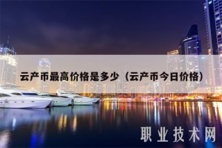 云产币最高价格是多少（云产币今日价格）