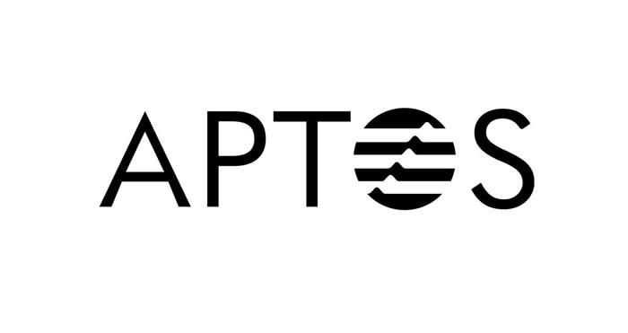 什么是Aptos公链?一文全面解读Aptos公链是怎么运作的-第1张图片-binance下载