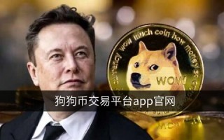 狗狗币在哪个平台能买到？binance购买狗狗币教程