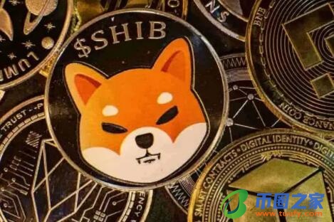 shi币(shib币最新消息)-第1张图片-binance下载