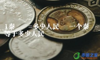 一个泰达币等于多少人民币