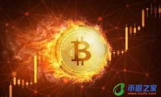 比特币交易所海外(比特币交易所官网下载)