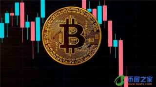 btc第一个牛市