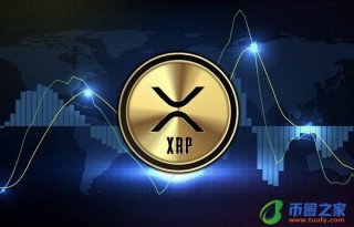 plus钱包最新情况(plus钱包最新报道)