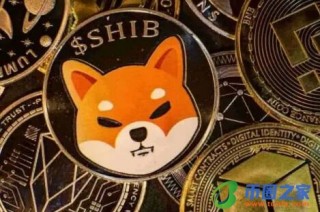 比特币交易所运营商(中国比特币用户)