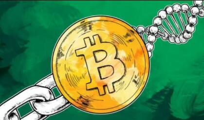 十大币交易平台排行|最安全的比特币交易平台-第7张图片-欧意下载