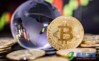 中本聪官方最新消息(中本聪中本聪)