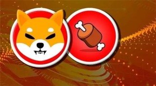 BONE币今日最新价格行情
