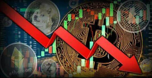 dog币交易所(dog币在哪里交易)-第1张图片-binance下载