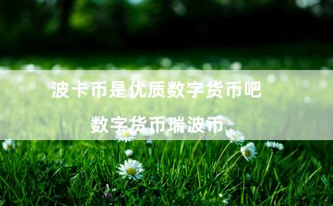 波卡币是优质数字货币吧（数字货币瑞波币）-第1张图片-binance下载