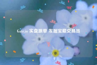 Gat.io 实盘跟单 发掘宝藏交易员