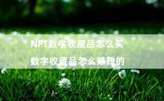 NFT数字收藏品怎么买 - 数字收藏品怎么赚钱的
