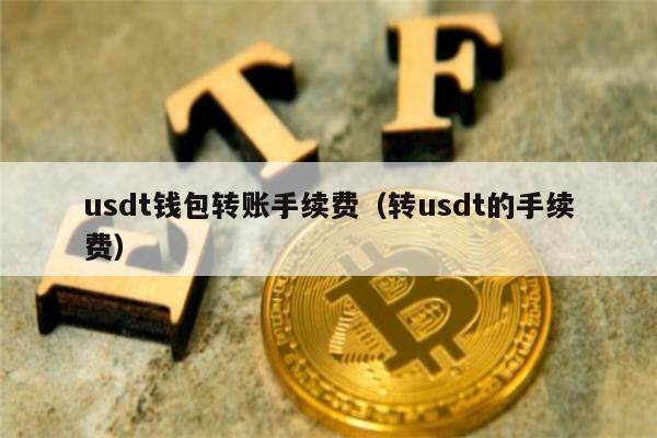 usdt钱包转账手续费（转usdt的手续费）-第1张图片-binance下载