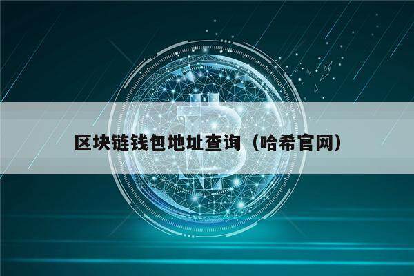 区块链钱包地址查询（哈希官网）-第1张图片-binance下载