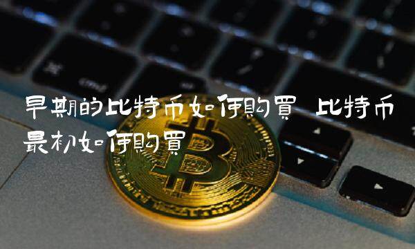 早期的比特币如何购买-第1张图片-binance下载