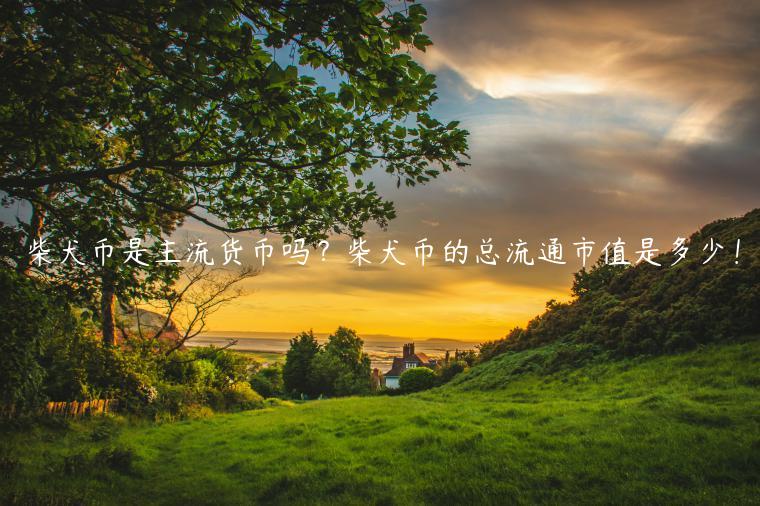 柴犬币是主流货币吗？柴犬币的总流通市值是多少！-第1张图片-binance下载