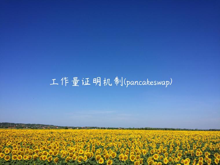 工作量证明机制 - pancakswap-第1张图片-binance下载